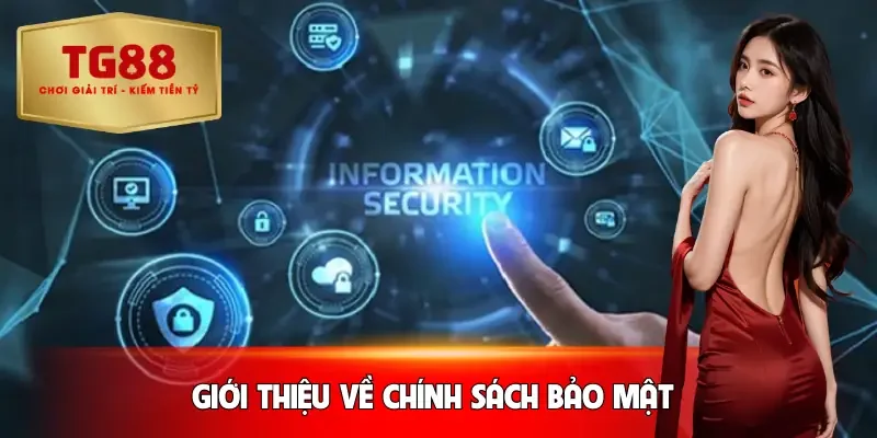 chinh-sach-bao-mat-gioi-thieu