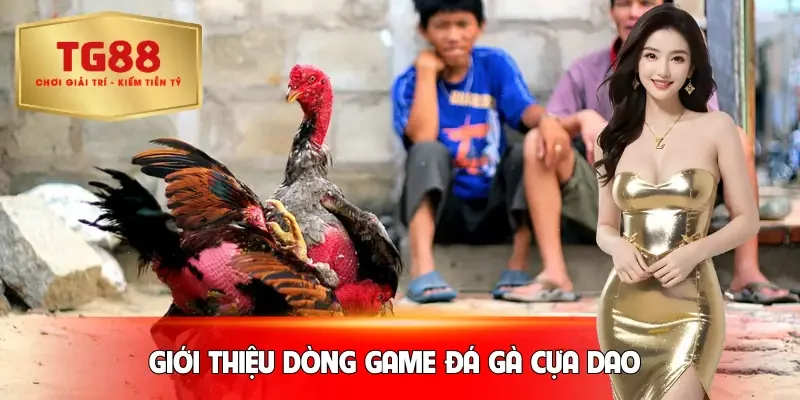 da-ga-cua-dao-gioi-thieu