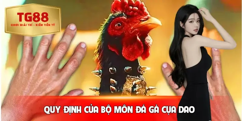 da-ga-cua-dao-quy-dinh-chung