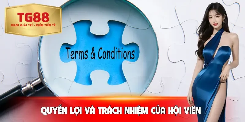 dieu-khoan-dieu-kien-quy-va-trach-nhiem