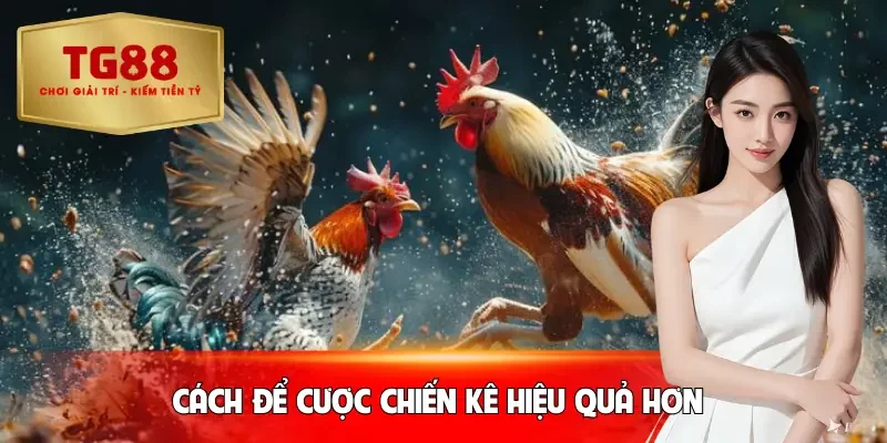 da-ga-tg88-cach-choi