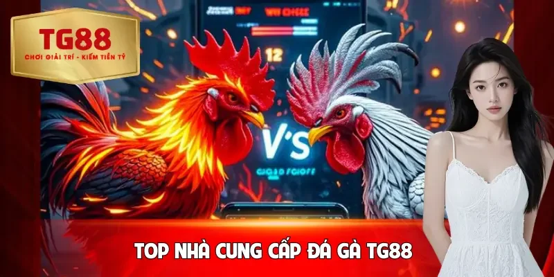 da-ga-tg88-nha-cung-cap